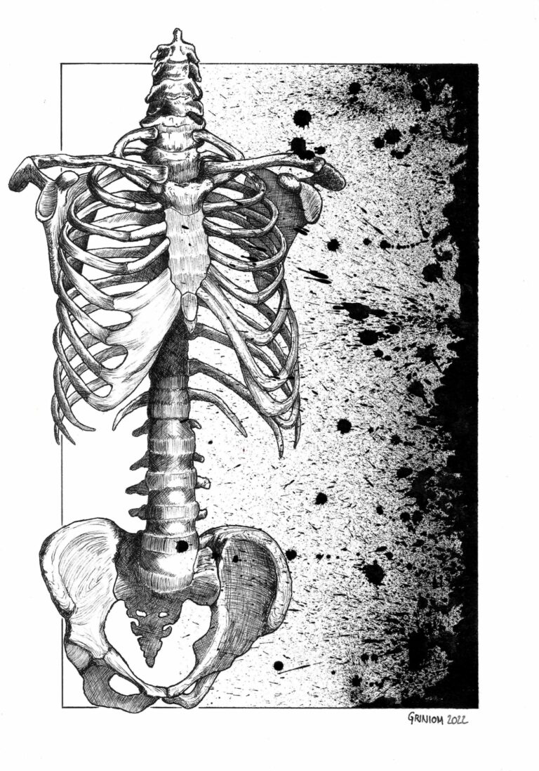 2022_Nuntius-Anatomia
